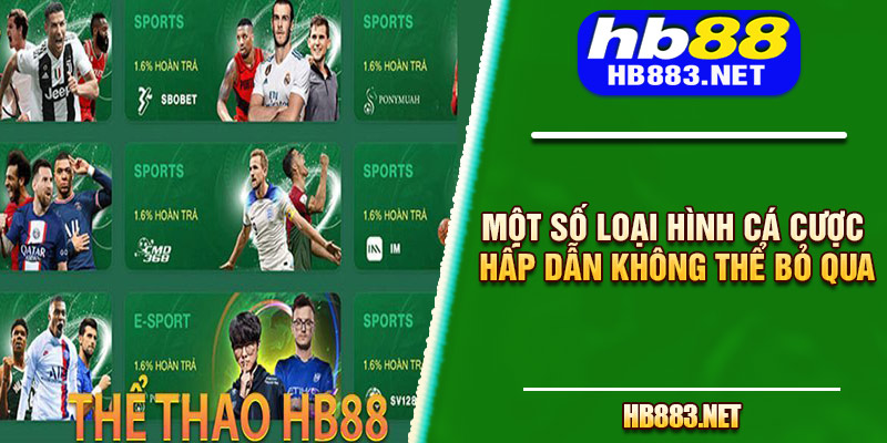 Một số loại hình cá cược hấp dẫn không thể bỏ qua